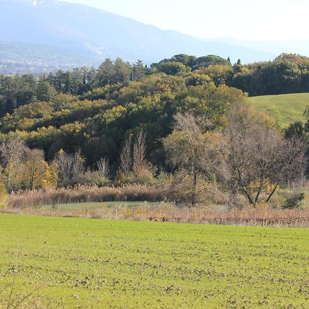 Agriturismo La Ginestrella Civitella D'Arna Luaran gambar