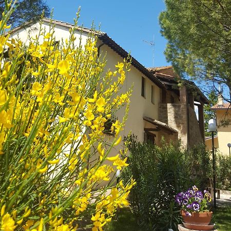 Agriturismo La Ginestrella Civitella D'Arna Luaran gambar