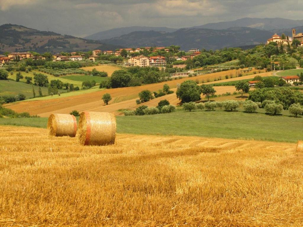 Agriturismo La Ginestrella Civitella D'Arna Luaran gambar