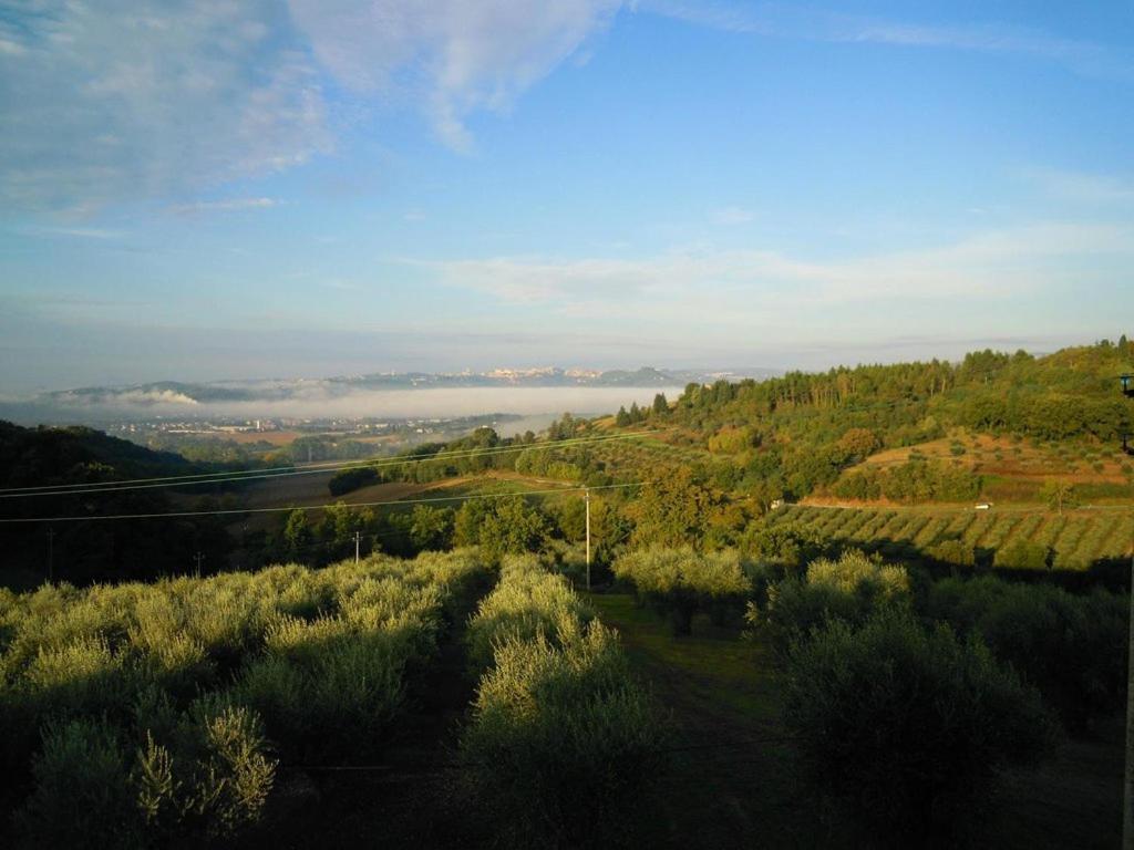 Agriturismo La Ginestrella Civitella D'Arna Luaran gambar