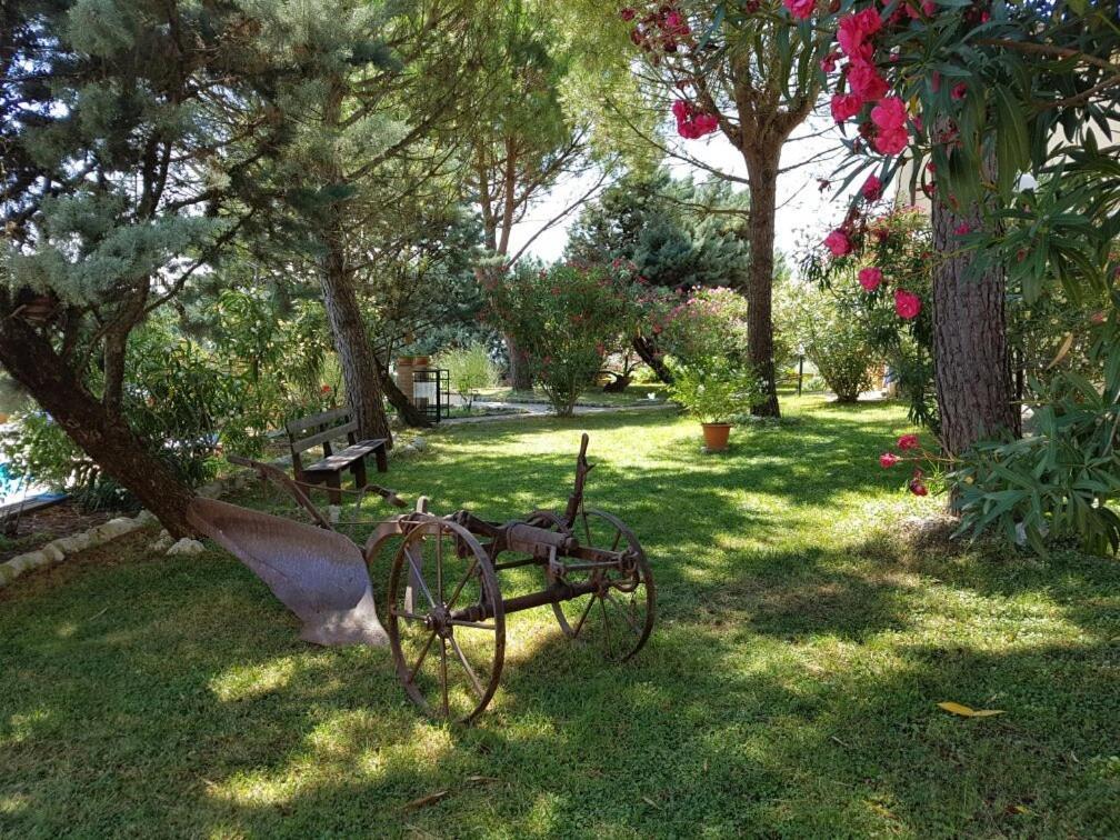 Agriturismo La Ginestrella Civitella D'Arna Luaran gambar